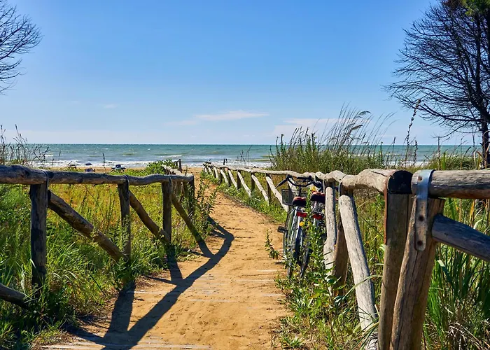 In 38288 Daire Bibione